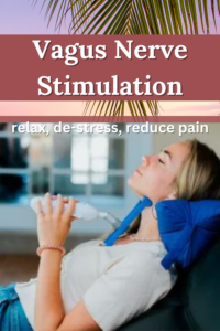 Vagus Nerve Stimulator